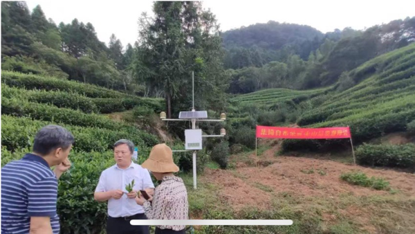 桥本补硒能降低抗体吗