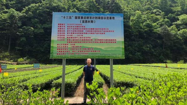 桥本补硒能降低抗体吗