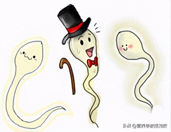 补硒会增加受孕几率吗