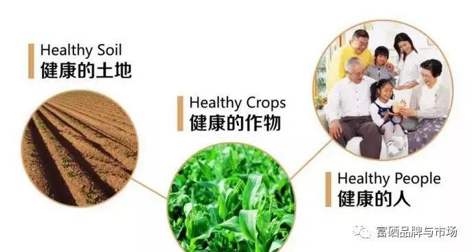 ?；ど鲈嘁刮鹋? /></p>
<p>农作物从富硒元素的土壤中通过纳米根部吸收技术，将硒吸收到体内，经过农作物的整个生长过程，通过光合作用和农作物自身的生物转化作用，将矿物质和有机状态的硒元素，转化成易于人体吸收和代谢的硒代蛋氨酸等。因此我们说植物活性硒，是更易于人体吸收的。</p>
<p>植物活性硒被人体吸收率高达99%以上，同时也解决了代谢率低的问题，植物活性硒与人体重金属和有毒有机化合物结合，并将有害物质通过人体代谢通道如：汗液、呼吸、排泄等排出体外，从而对人体健康起到?；ぷ饔?。</p>
<p>植物活性硒-硒代蛋氨酸-硒代半胱氨酸和甲基硒半胱氨酸（这部分直接参与代谢）-硒化氢（人体中仅存在十几秒）-硒蛋白（形成人体中重要的抗氧化酶，谷胱甘肽过氧化物酶的唯一和必需物质）。正是由于这种物质，人才免得癌症和慢性病。</p>
<p>临床实验证明：有机植物活性硒能直接防治包括癌症、糖尿病在内的5大类40多种疾病，间接参与防治400多种疾病，如缺硒将易引发的心、肝、脾、胃、肾、肺、眼、脑、口、足等一系列病变。</p>
<p>中国微量元素科学研究会副理事长梁东东教授介绍说，硒是人体必需的微量元素，而中国有七成地区缺硒。针对人体缺硒的状况，如今各国专家建议继续大力发展富硒产品的开发研制。同无机硒强化剂相比，生物有机硒安全性高，不易发生中毒，易被人体吸收利用，补硒效率高。</p>										<div   id="zptmy5zary"   class="single-copyright">
						版权声明：本文为互联网用户自发贡献的内容，其中观点及相关内容仅代表作者本人。本网站仅提供信息存储空间服务，不拥有这些内容的所有权，并且不承担任何法律责任。如果发现本网站上有涉嫌侵权或违法违规的内容，请立即联系我们的客服QQ：6532516以便进行及时清除。					</div>
									</div>
                <div   id="zptmy5zary"   class="mb-default clearfix">
										<a class="float-left btn btn-outline-default mr-small" href="http://www.jkassets.cn/tag/%e4%bf%9d%e6%8a%a4%e8%82%be%e8%84%8f%e8%a6%81%e8%a1%a5%e7%a1%92%e5%90%97%e5%a5%b3%e6%80%a7/">保护肾脏要补硒吗女性</a>
									</div>          
				<div   id="zptmy5zary"   class="log-neighbor clearfix">
					<a href="http://www.jkassets.cn/10385.html" rel="prev"><span>上一篇：</span>冠心病需要补硒元素吗（冠心病要补充维生素吗）</a>					<a href="http://www.jkassets.cn/10389.html" rel="next"><span>下一篇：</span>补硒蔬菜和食物有哪些（什么食物和蔬菜含硒）</a>				</div>
                <div   id="zptmy5zary"   class="log-readmore">
					<h5 class="page-header">继续阅读</h5>
					<ul>
					<li><span id="zptmy5zary"    class="page-dot"></span>暂无推荐</li>					</ul>
				</div>
            </div>
        </div>
<div   id="zptmy5zary"   class="col-right d-none d-lg-block">
		<div   id="zptmy5zary"   class="sidebar-box">
		<h4 class="sidebar-title">随机文章</h4>
		<div   id="zptmy5zary"   class="sidebar-log">
			<ul>
								<li><a href="http://www.jkassets.cn/72295.html" target="_blank">补硒对甲状腺结节有好处（好处补甲状腺结节硒有效果吗）</a></li>
								<li><a href="http://www.jkassets.cn/21991.html" target="_blank">锌硒宝健脾胃（补锌健脾药都有哪些）</a></li>
								<li><a href="http://www.jkassets.cn/13027.html" target="_blank">全民补硒湖北（全民补硒湖北）</a></li>
								<li><a href="http://www.jkassets.cn/21655.html" target="_blank">锌硒宝孩子量（儿童服用锌硒宝的用法及用量）</a></li>
								<li><a href="http://www.jkassets.cn/55548.html" target="_blank">广西富硒认证农产品（广西富硒农业）</a></li>
								<li><a href="http://www.jkassets.cn/57841.html" target="_blank">湖南富硒茶推荐企业（湖南富硒之乡）</a></li>
								<li><a href="http://www.jkassets.cn/72478.html" target="_blank">世界硒都 居民也要补硒（2021全民补硒）</a></li>
								<li><a href="http://www.jkassets.cn/60810.html" target="_blank">青海富硒农产品认证（青海硒源富硒农牧开发有限公司）</a></li>
								<li><a href="http://www.jkassets.cn/13218.html" target="_blank">国家推广补硒（国家补硒的口号宣传）</a></li>
								<li><a href="http://www.jkassets.cn/74889.html" target="_blank">肝功能下降了补硒有用吗（补硒肝脏）</a></li>
							</ul>
		</div>
	</div>
			<div   id="zptmy5zary"   class="sidebar-box js_asd_bottom">
		<div   id="zptmy5zary"   class="sidebar-custom">
			<a href="" rel="nofollow" target="_blank">
				<img src="http://www.jkassets.cn/wp-content/uploads/2023/12/1593602619028180.jpg"></a>
		</div>

	</div>
	</div>    </div>
</div>
 <div   id="zptmy5zary"   class="footer-wrap">
	<div   id="zptmy5zary"   class="container">
		<div   id="zptmy5zary"   class="row">
			<div   id="zptmy5zary"   class="col-12">
				
<a href="http://www.jkassets.cn/privacy-policy/">隐私政策</a>

								<a rel="nofollow"  target="_blank">陕ICP备2021015245号-4</a><a href="/sitemap.xml">网站地图</a>
								<span>© 硒宝网</span>
			</div>
		</div>
	</div>
</div>
<a class="page-backtop"><i class="fa fa-icon fa-angle-up"></i></a>
<script>
var swiper = new Swiper(