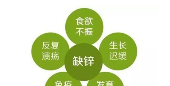 补硒蔬菜和食物有哪些