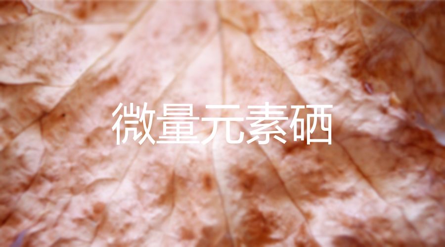 北京卫视3种补硒食物