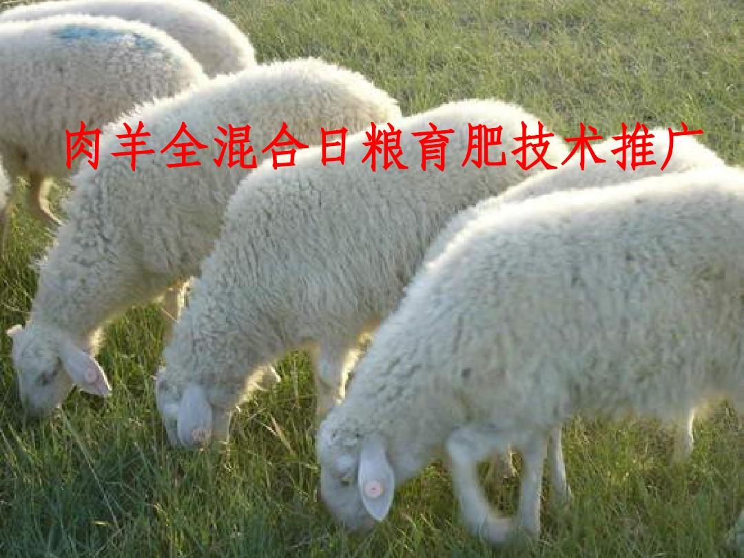 孕早期补硒量多少正常