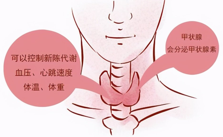 甲状腺疾病一定要补硒