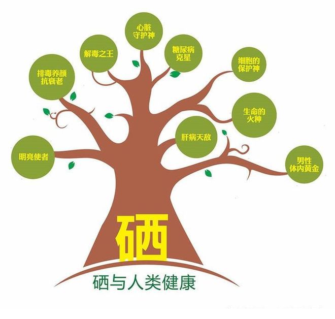 农村人吃什么食物补硒
