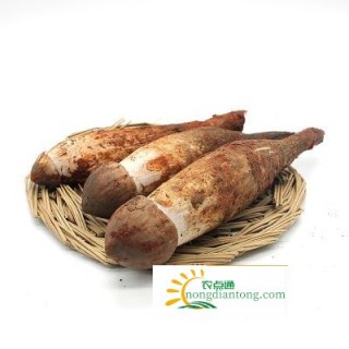 鸡纵菌和牛肝菌区别，鸡枞和牛肝菌哪个好？,第4图