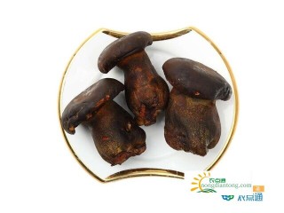 鸡纵菌和牛肝菌区别，鸡枞和牛肝菌哪个好？,第5图