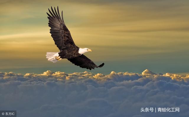 补硒会引起多少种疾病(补硒会引起多少种疾?。?硒宝网