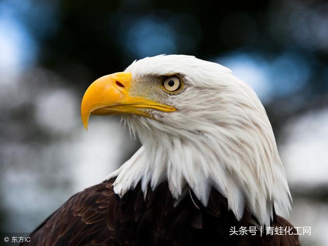补硒会引起多少种疾病(补硒会引起多少种疾?。?硒宝网