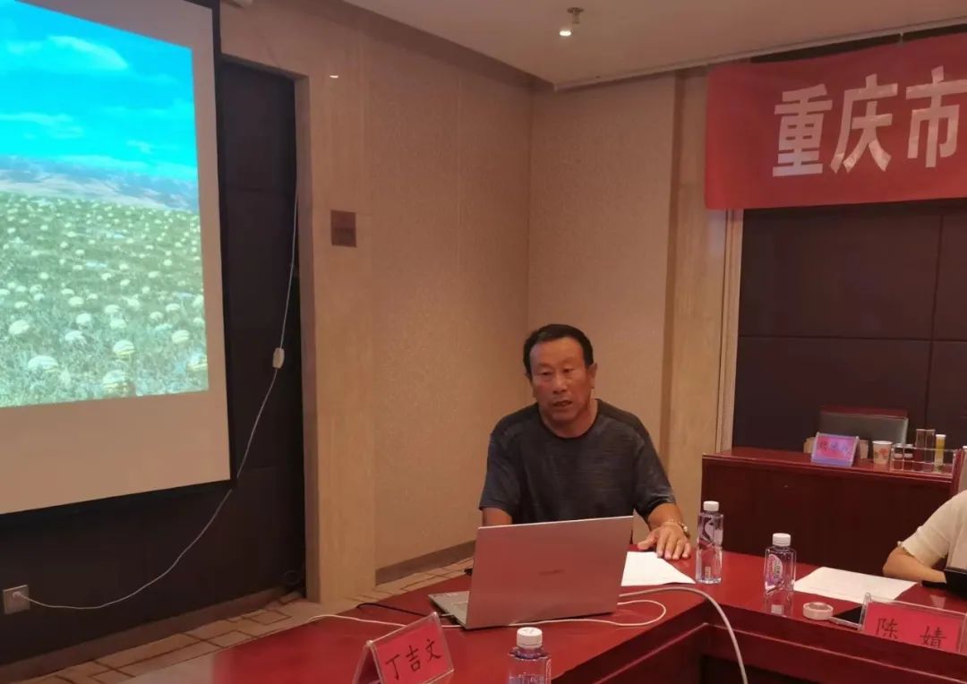 补硒产业发展趋势分析