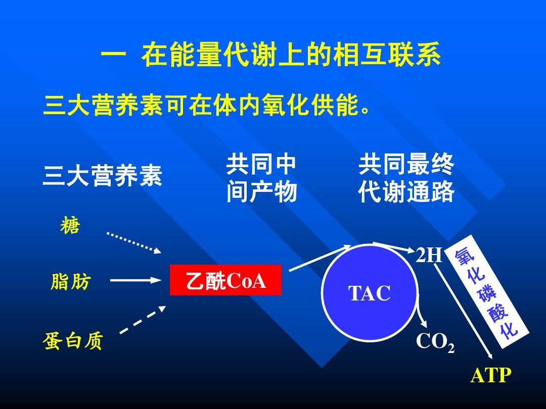 心衰的病人需要补硒吗