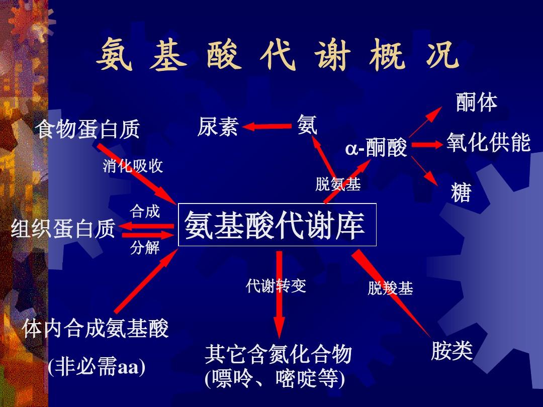 心衰的病人需要补硒吗