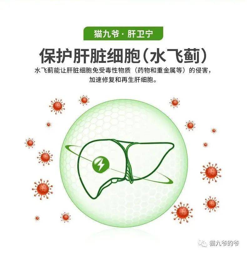 乙肝治愈后需要补硒吗