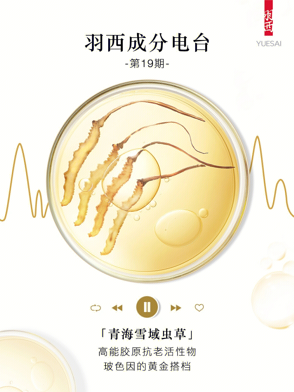 肾移植患者可以补硒吗