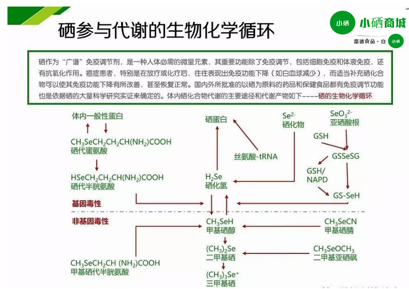 皮肤湿疹补硒有作用吗