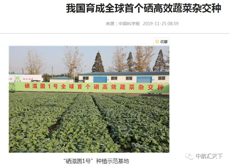 如何吃蒜才能补硒元素