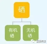 补硒的含量多少合适呢(补充硒的最大量)-硒宝网