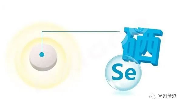 补硒的含量多少合适呢(补充硒的最大量)-硒宝网