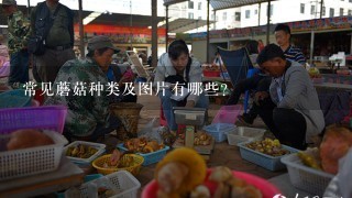 常见蘑菇种类及图片有哪些？