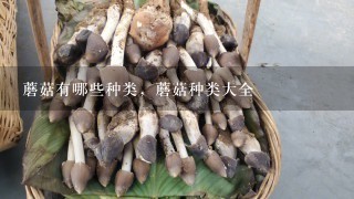 蘑菇有哪些种类，蘑菇种类大全