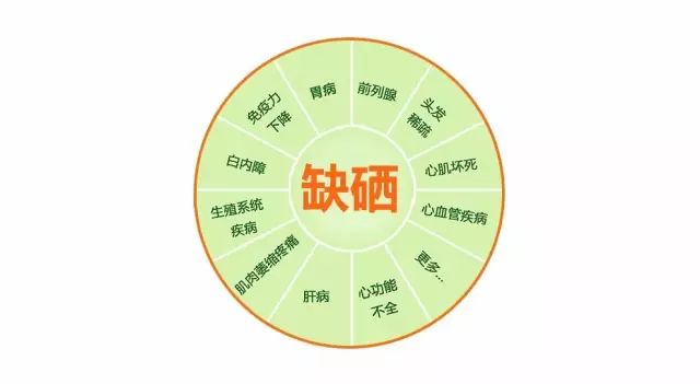 补硒元素哪种好吸收些