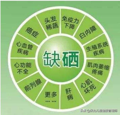 补硒选这7类平价食物，带你去世界硒都揭开硒的“神秘面纱”