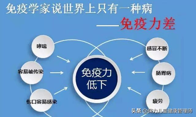 补硒选这7类平价食物，带你去世界硒都揭开硒的“神秘面纱”