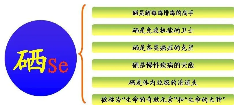 中老年补硒有什么好处
