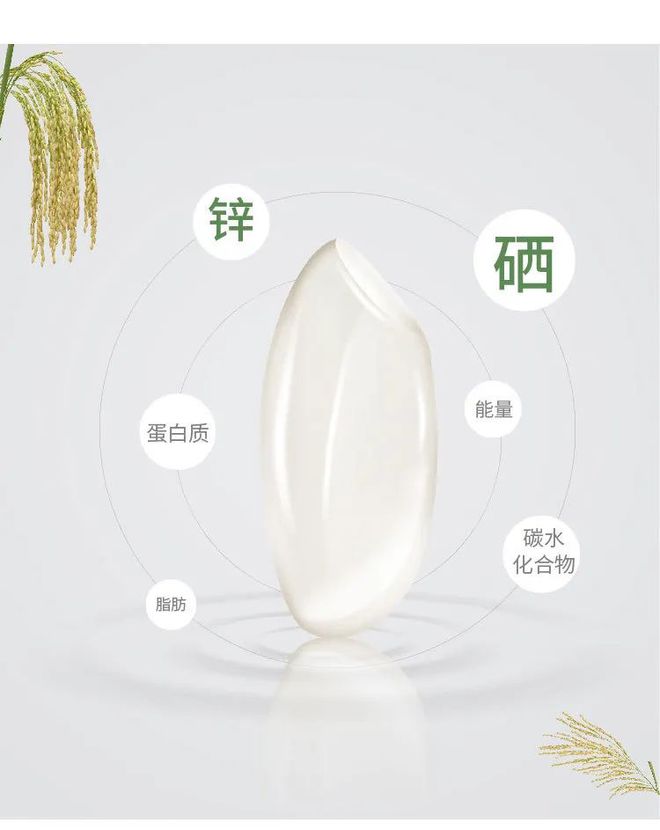 要像抓补碘一样抓补硒