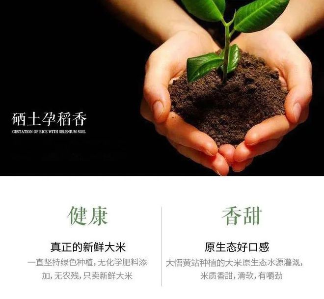 要像抓补碘一样抓补硒
