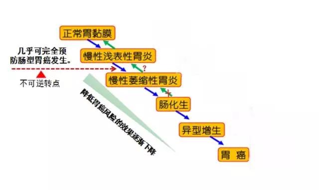 胃溃疡、胃癌元凶是幽门螺旋杆菌，一招可根除杆菌，非常简单