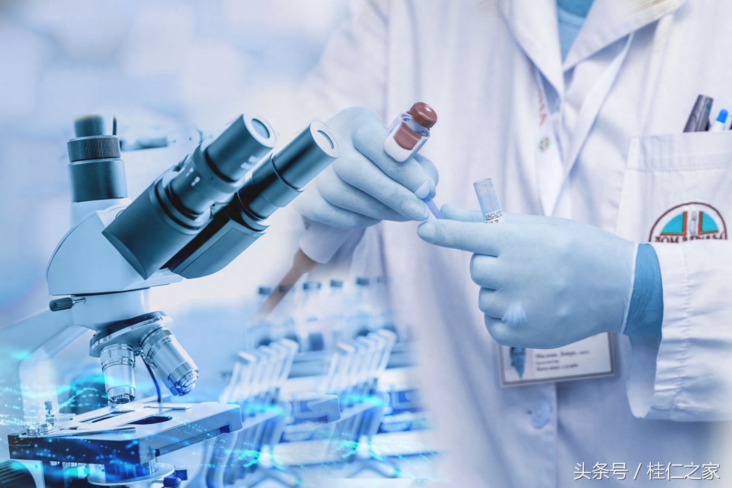 白细胞减少能补硒吗吗