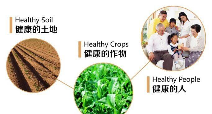 科院谷源全谷物营养提醒您为什么补硒要食用富硒功能农产品？
