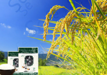 富硒营养大米(富硒大米中含有的主要营养素是)-硒宝网