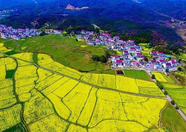 石台富硒大米