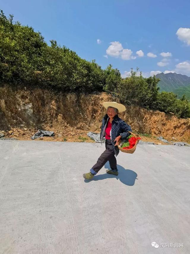 南宫山富硒茶