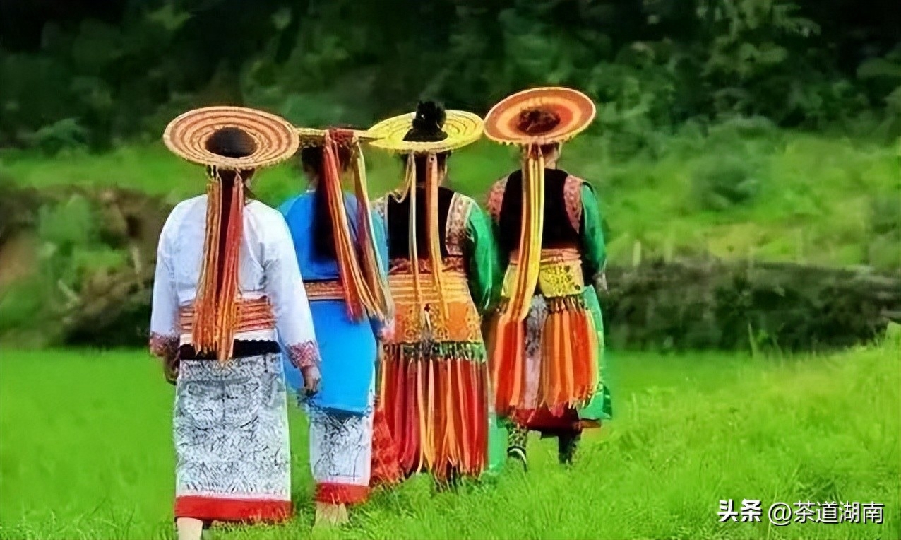 仙寓富硒野茶