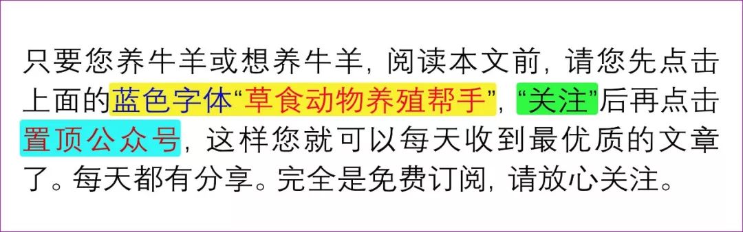 牛犊怎样补硒