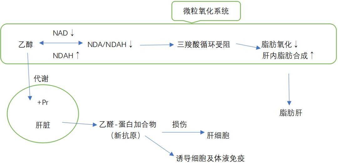 补硒 肝损伤