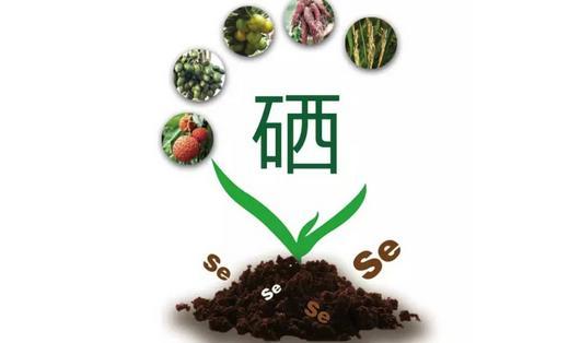 硒是“抗癌之王”！但你可能不知道，我国有十亿人都缺硒！
