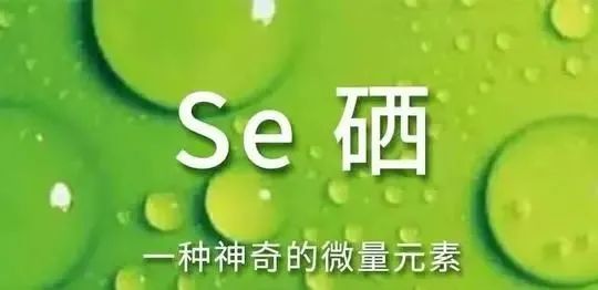 前列腺炎补硒