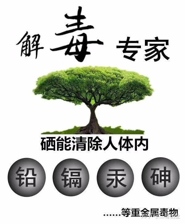 硒杯能补硒吗