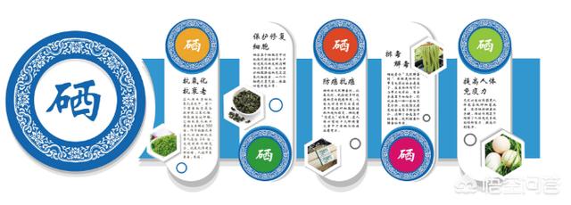 补硒用啥来补(补硒效果)-硒宝网