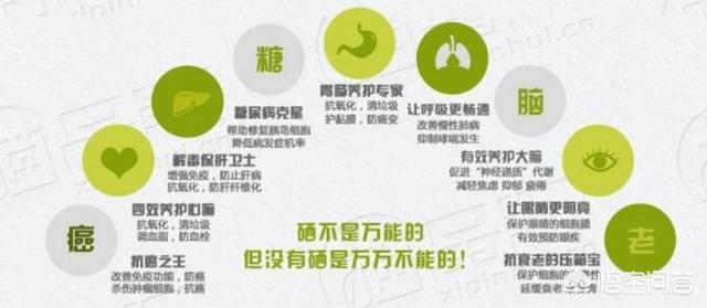 补硒用啥来补(补硒效果)-硒宝网