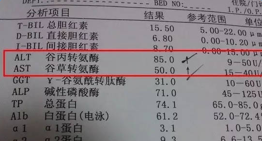 补硒转氨酶高(补转氨酶高硒片能吃吗)-硒宝网