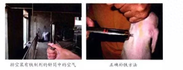 仔猪补硒中毒(仔猪补硒中毒)-硒宝网