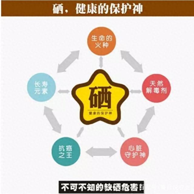 补硒什么才好