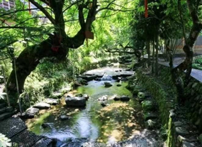 补硒什么才好