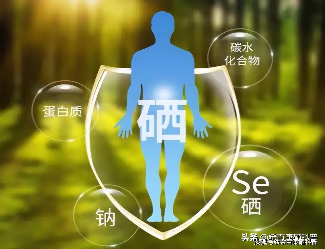 科学补硒优?。蒲Р刮圃诒匦校?硒宝网