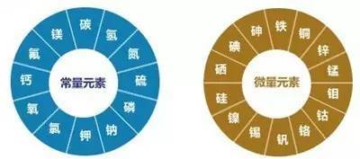 男性怎么补硒